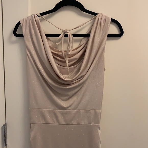 Champagne gown with silver thread sparkle - Picture 3 of 6